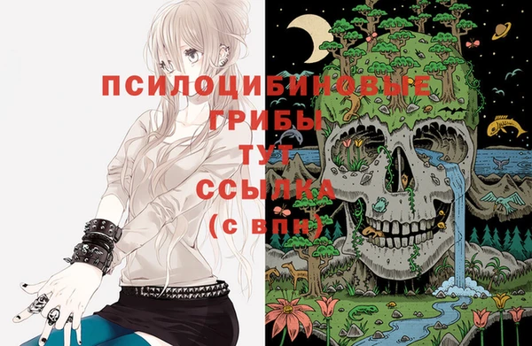 apvp Богородицк