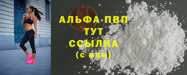 apvp Богородицк
