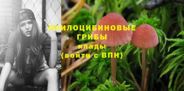 МДПВ Верхнеуральск