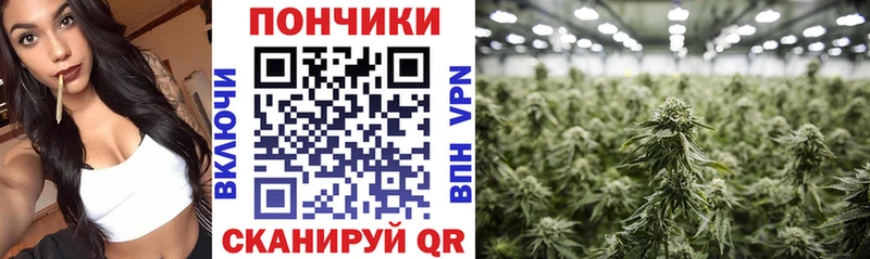 купить наркотик  Высоцк  МАРИХУАНА THC 21% 